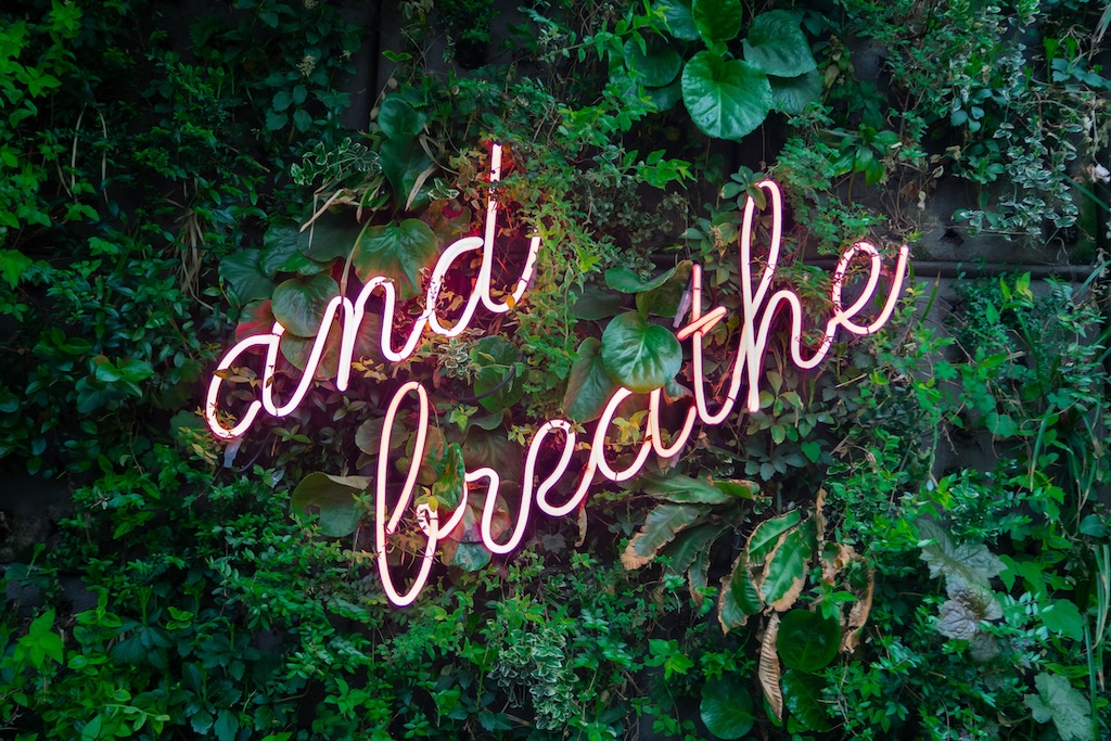 and breathe neon sign on tree