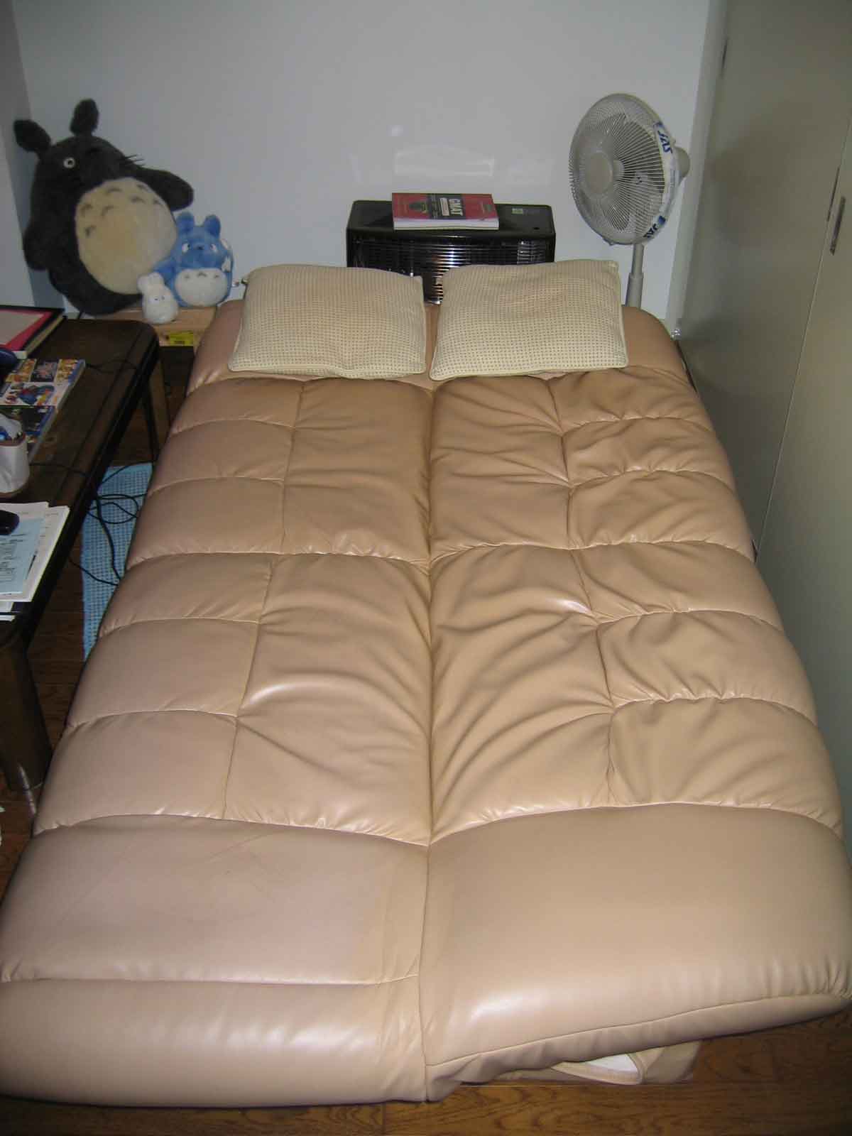 Couch bed